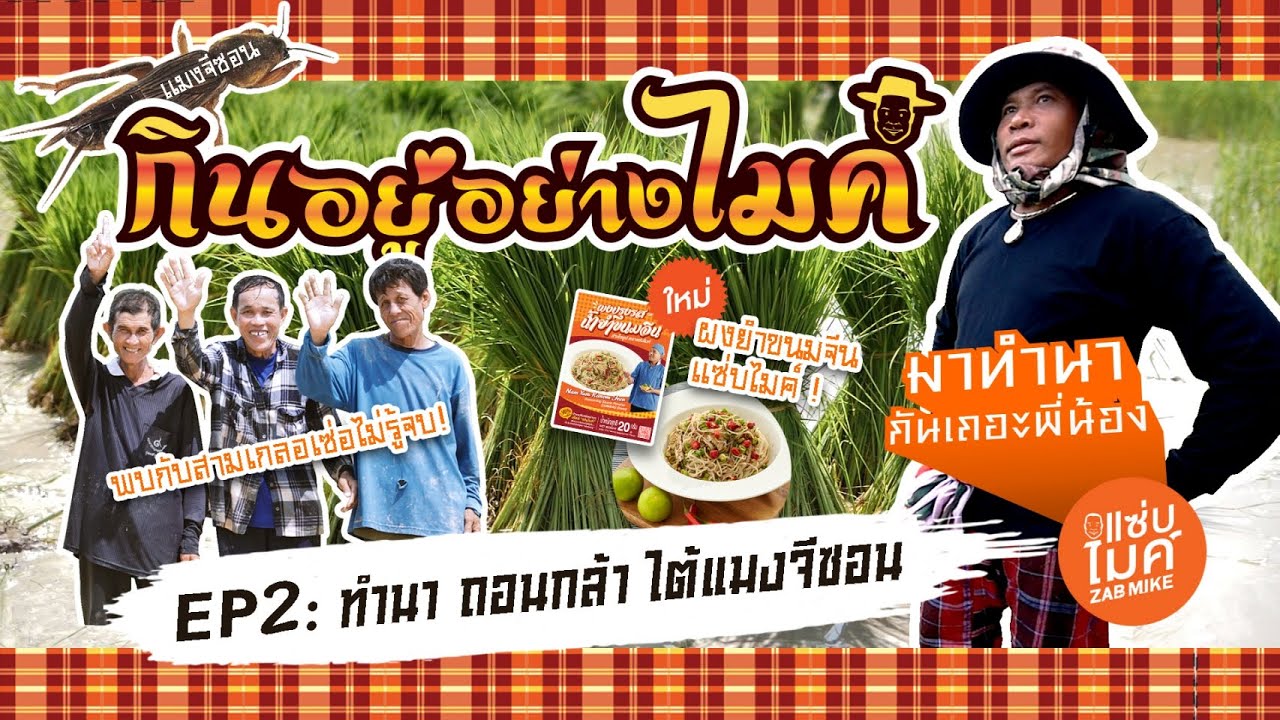 ไมค์ ภิรมย์พร ทำนา ถอนกล้า ไต้แมงจีซอน ถอนจริง! จับจริง! เจ็บจริง!!!  | กินอยู่อย่างไมค์ EP. 02
