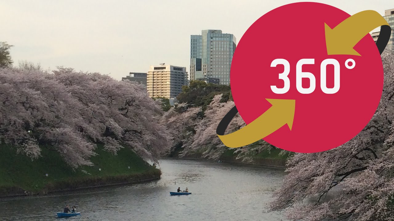 360video Hanami Chidorigafuchi Tokyo - 花見 千鳥ヶ淵 - Japan Travel