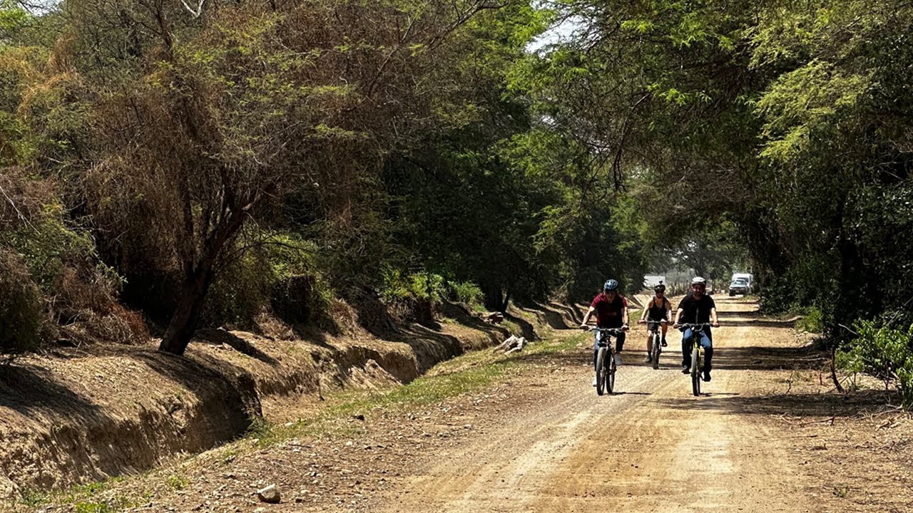 Bosque de Pómac: ideal para amantes de la naturaleza y la historia