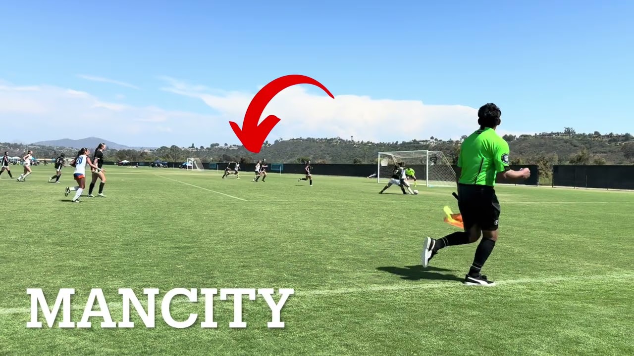 Latest highlights video - January 2026