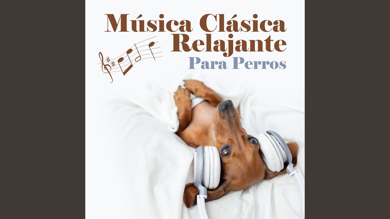 Chopin: Mazurkas, Op. 68: 4. Andantino In F Minor