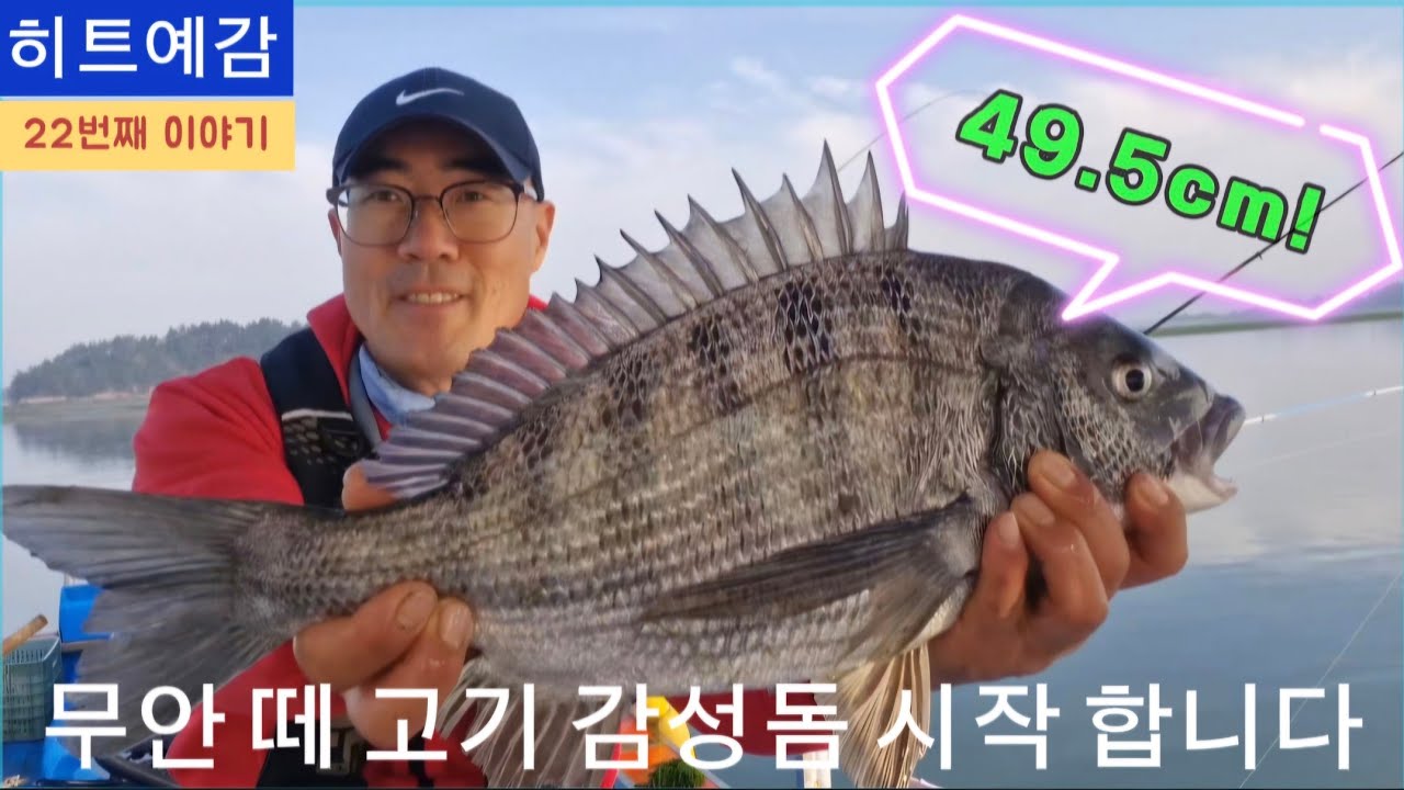 (26.4.15.수) 감성돔 카고낚시 떼 고기를 만나다 (1부)