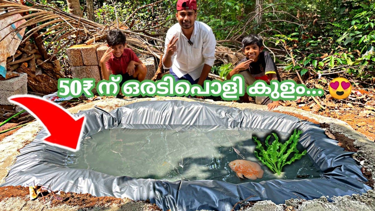 ഇത്ര വില കുറവിൽ ഇത്രയും വലിയ കുളം സ്വപ്നങ്ങളിൽ മാത്രം | low cost tarpaulin pond | pond for koi carp