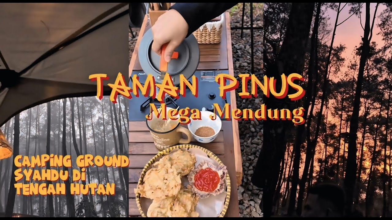 Taman Pinus megamendung | Camping syahdu | Tenang dan nyaman | Suasana hutan pinus