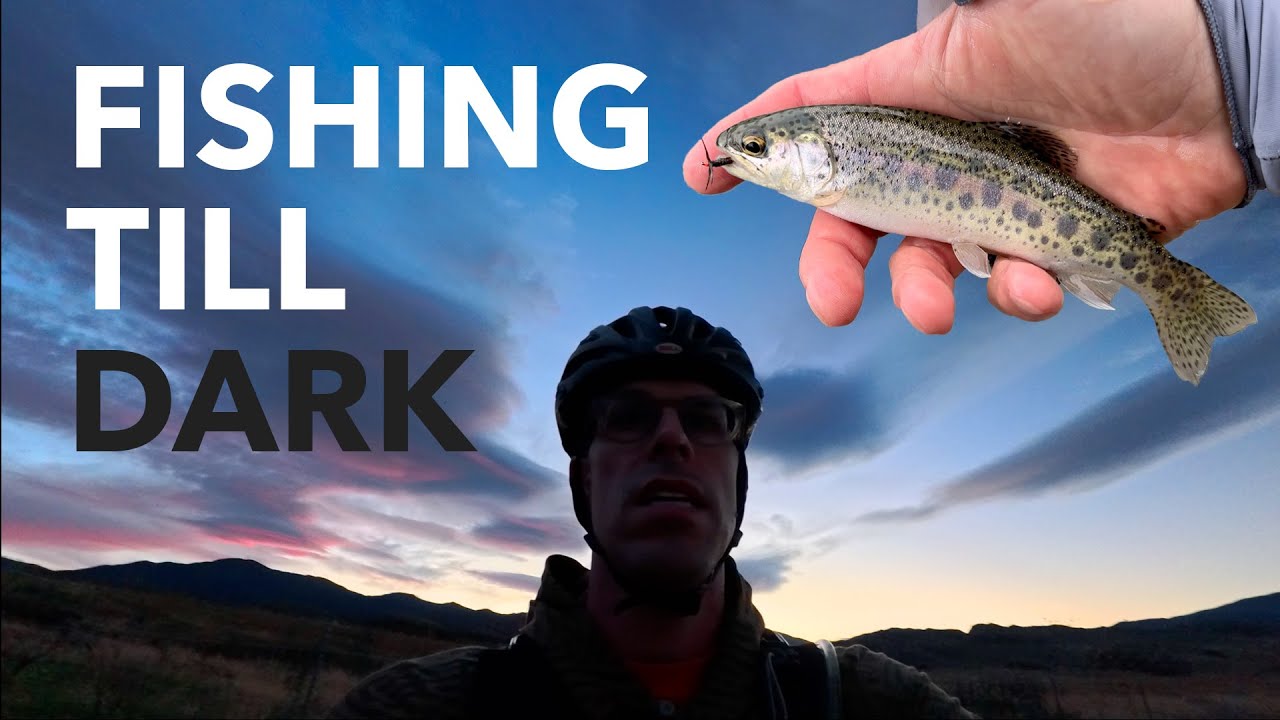 20+ fish on two tenkara rods: Kokoro 360 & TenBum 36 - Nov '25