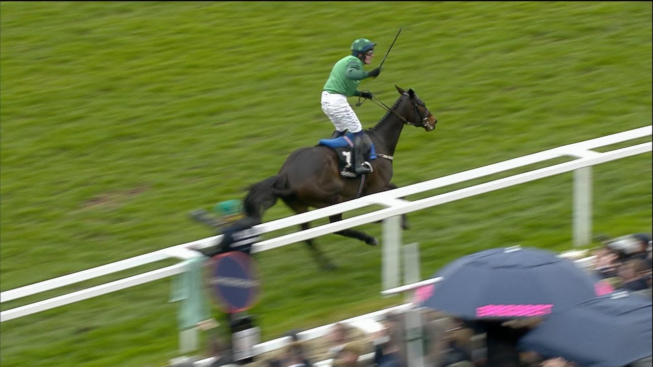What a prospect! IMPAIRE ET PASSE leads home a Willie Mullins 1-2-3 in 2023 Ballymore Novice Hurdle