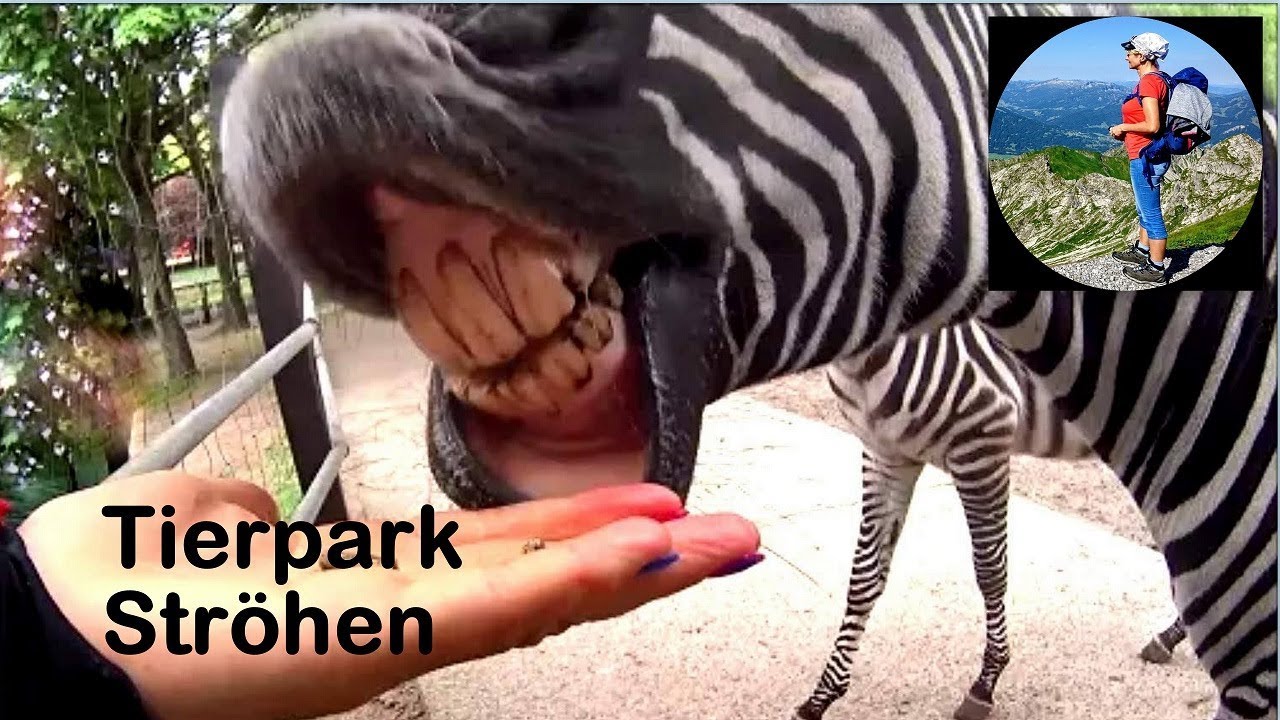 😁Zoo w Str&ouml;hen / Niemcy