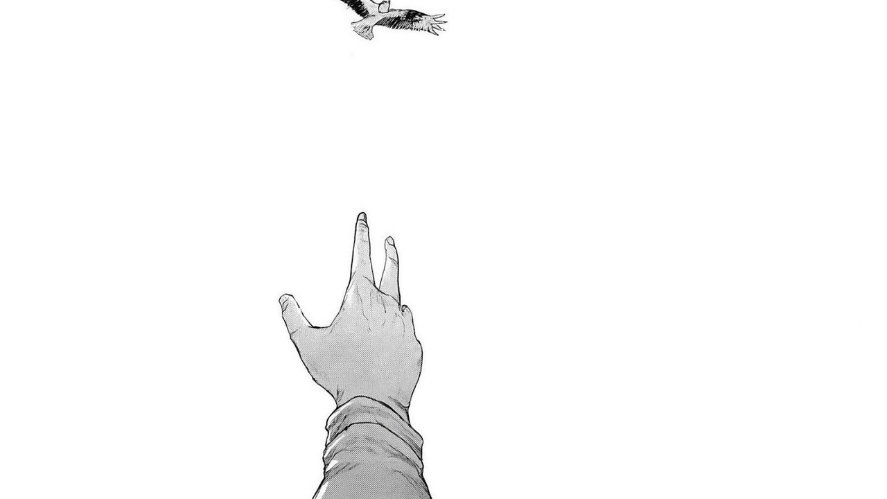 ECOS QUE RESTARAM 🌌