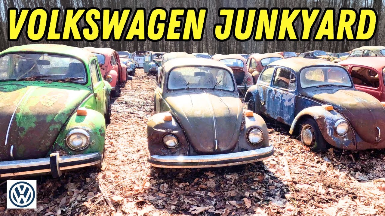FULL TOUR: VW Buses, Beetles & MORE! HUGE Volkswagen JUNKYARD!