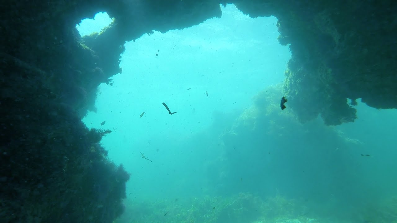 Sandy Cape snorkelling for crayfish at camp awesome