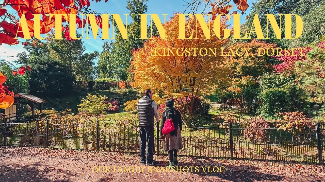 Autumn in England | Kingston Lacy, Dorset UK | Countryside, Japanese Garden, second-hand bookshop