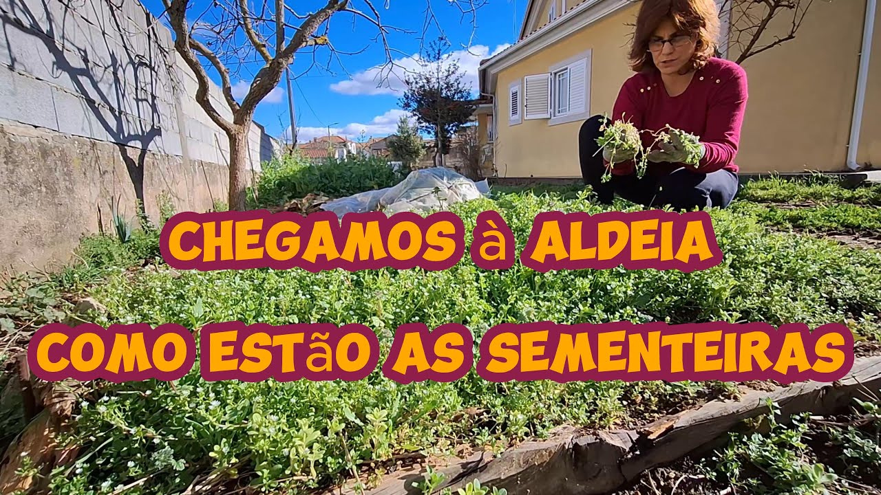 Regressamos  à aldeia
