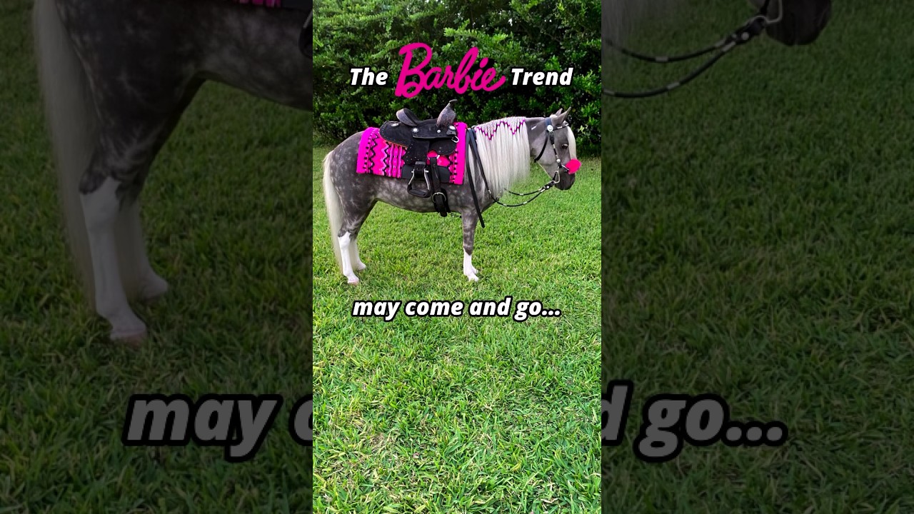 Barbie Horse in Real Life? #minihorse #horses #miniaturehorse