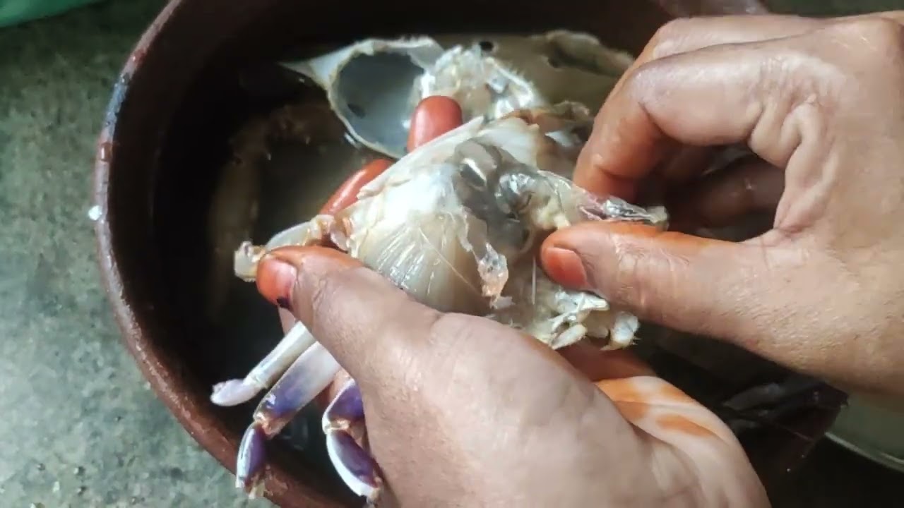 எப்ப எப்படி நல்ல நண்டு வாங்குவது, எப்படி சுத்தம் செய்வது? Tips  buying good crab and how to clean 🦀