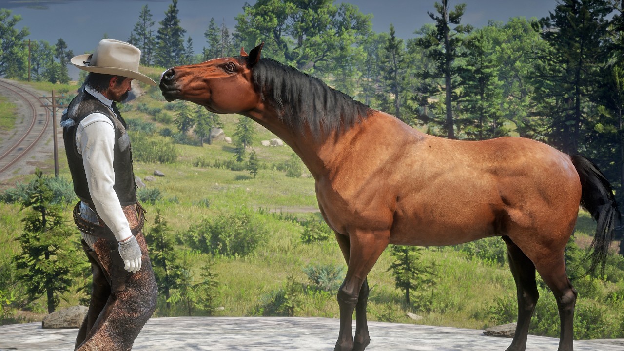 John Marston Tames Beautiful Morgan Bay Horse Near Forest | RDR2