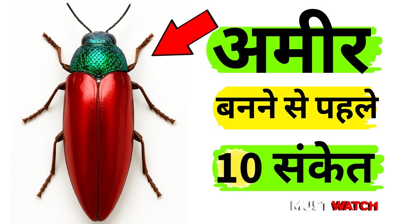 सावधान! धनवान बनने से पहले देवी लक्ष्मी देती हैं ये 10 गुप्त संकेत! | Lakshmi Kripa #lakshmi #puja