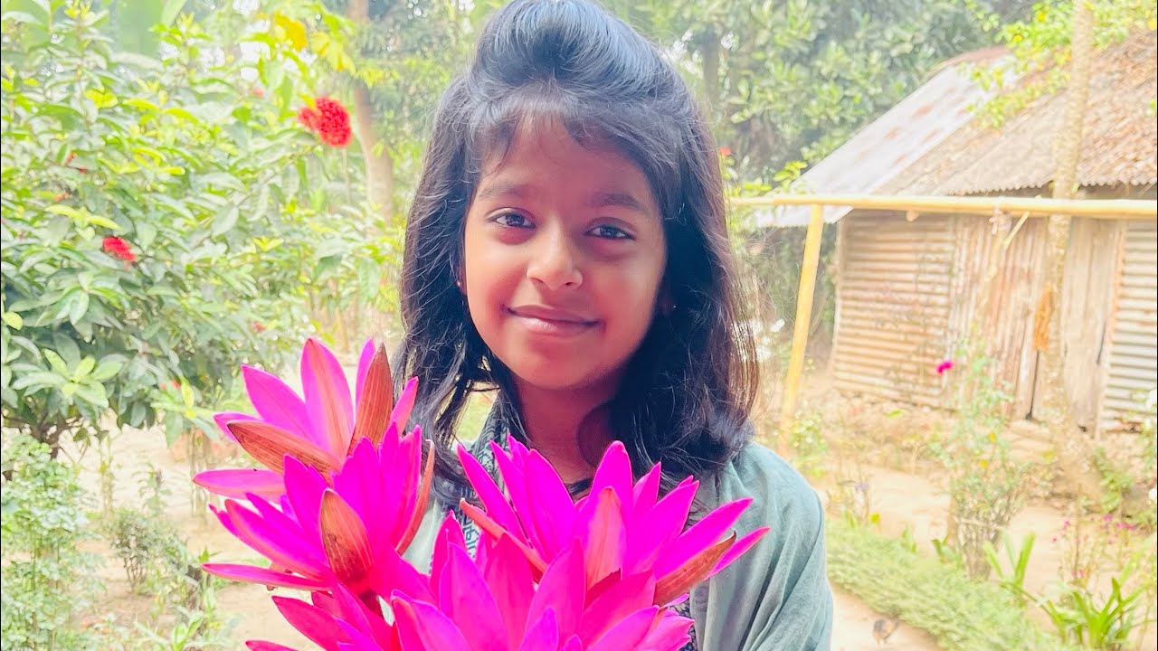 Sreemangal, a pcs of heaven in Bangladesh, 2025