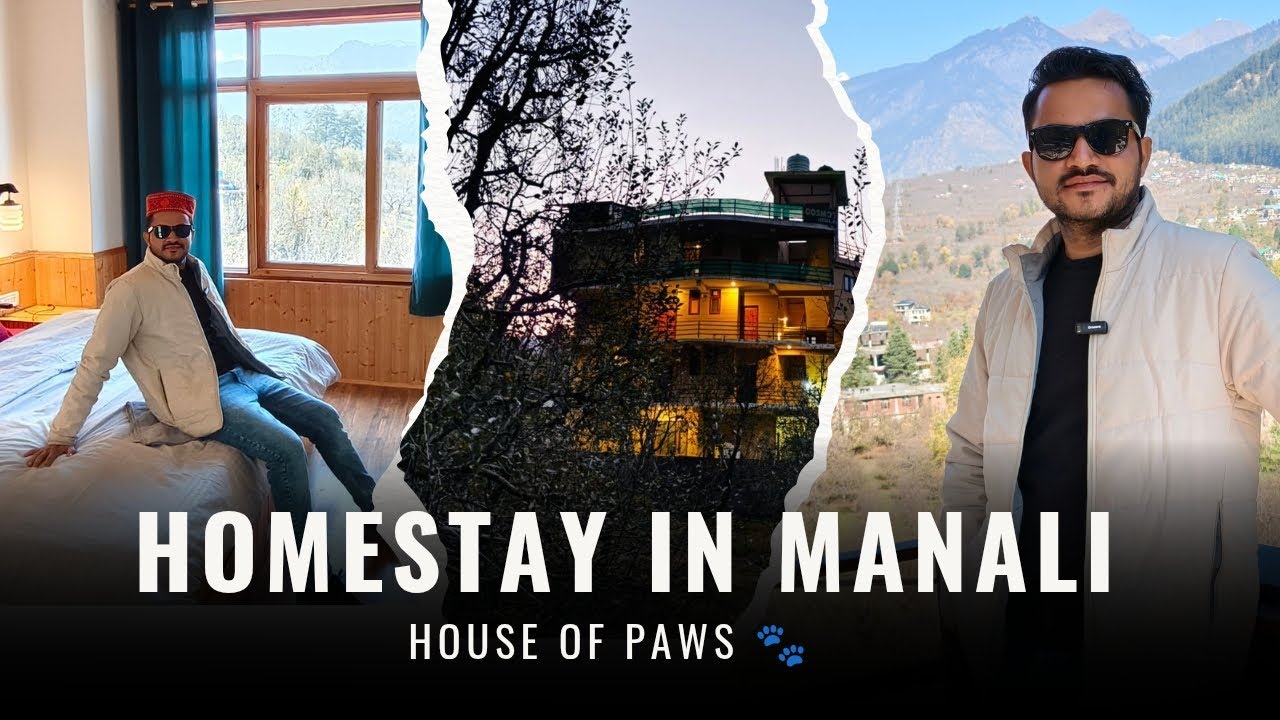 Homestay in Manali 🏡🏔️ House of Paws 🐾 Best Homestay in Manali 😃