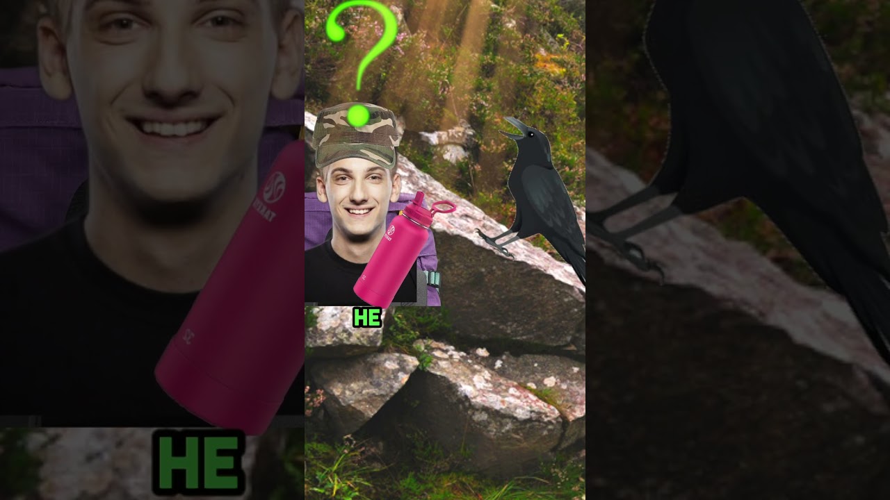 The smartest animal I've ever seen #storytimeanimation #animatedstory  #storytoons