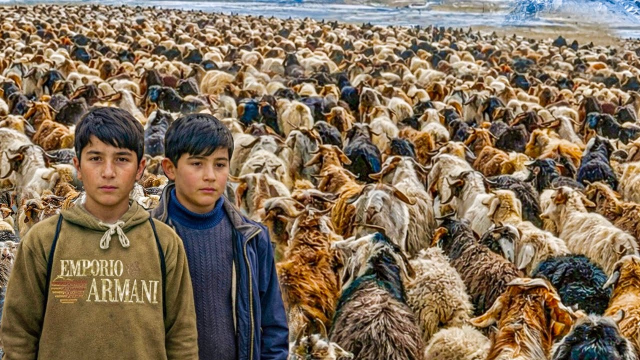 Surviving Shepherd Life in Siachen Valley | Extreme Winter Survival