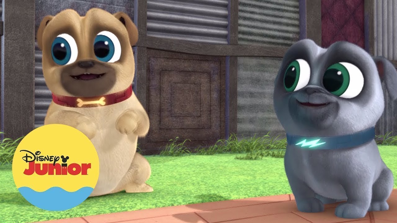 Pega Filhote | Brincando com Puppy Dog Pals