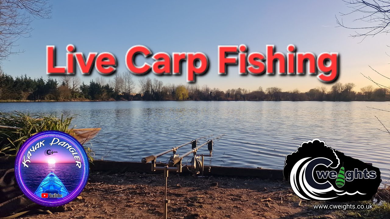 KayakDangler's Fishing Adventures  is live Carp Fishing,  #fishing #live #viral