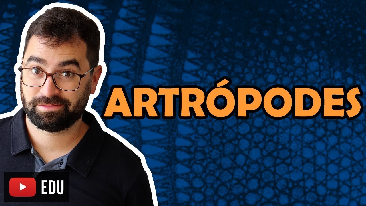 Artrópodes (Parte 1) - Aula 20 - Módulo VI: Zoologia | Prof. Guilherme
