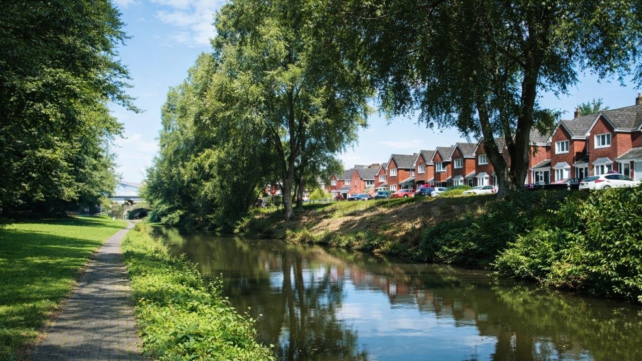 Westport Lake | A Morning Nature Walk in Stoke-on-Trent