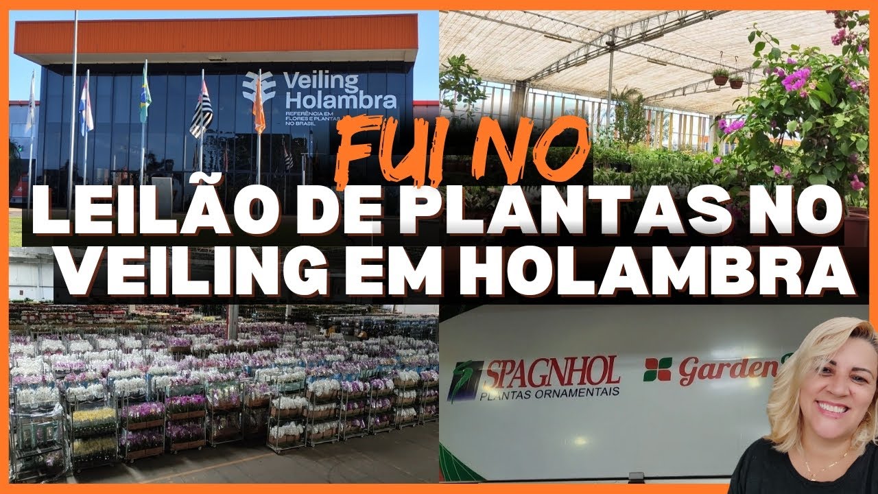 Spagnhol plantas e leilão de plantas no Veiling Holambra -  fui conhecer