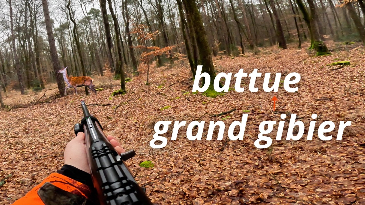 CHASSE BATTUE Grand Gibier une fin de saison reussi ma premi&egrave;re biche