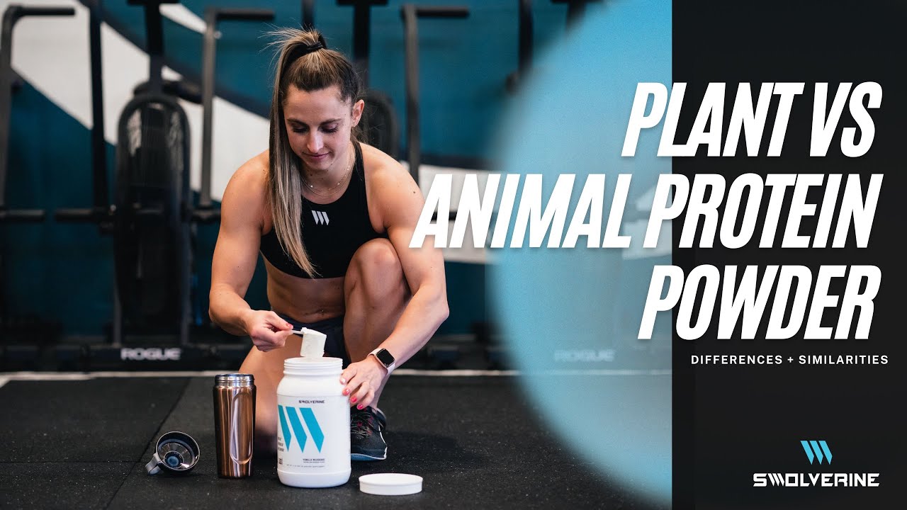Plant VS Animal Protein: Differences And Benefits