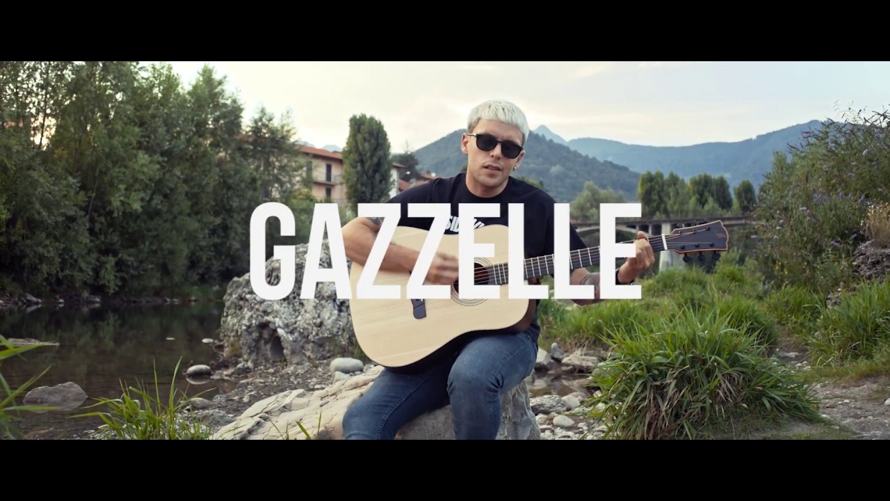 Gazzelle 