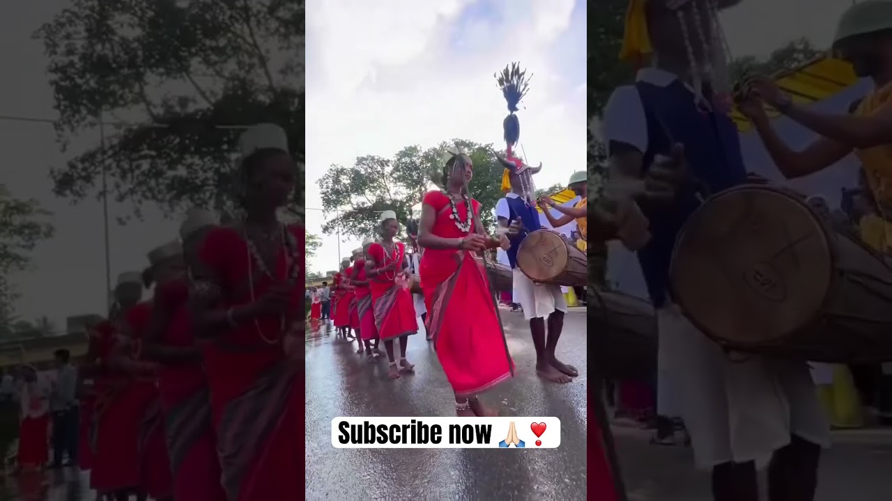 बस्तर जिला छत्तीसगढ़🥰🫣 ￼Bastar Chhattisgarh 
