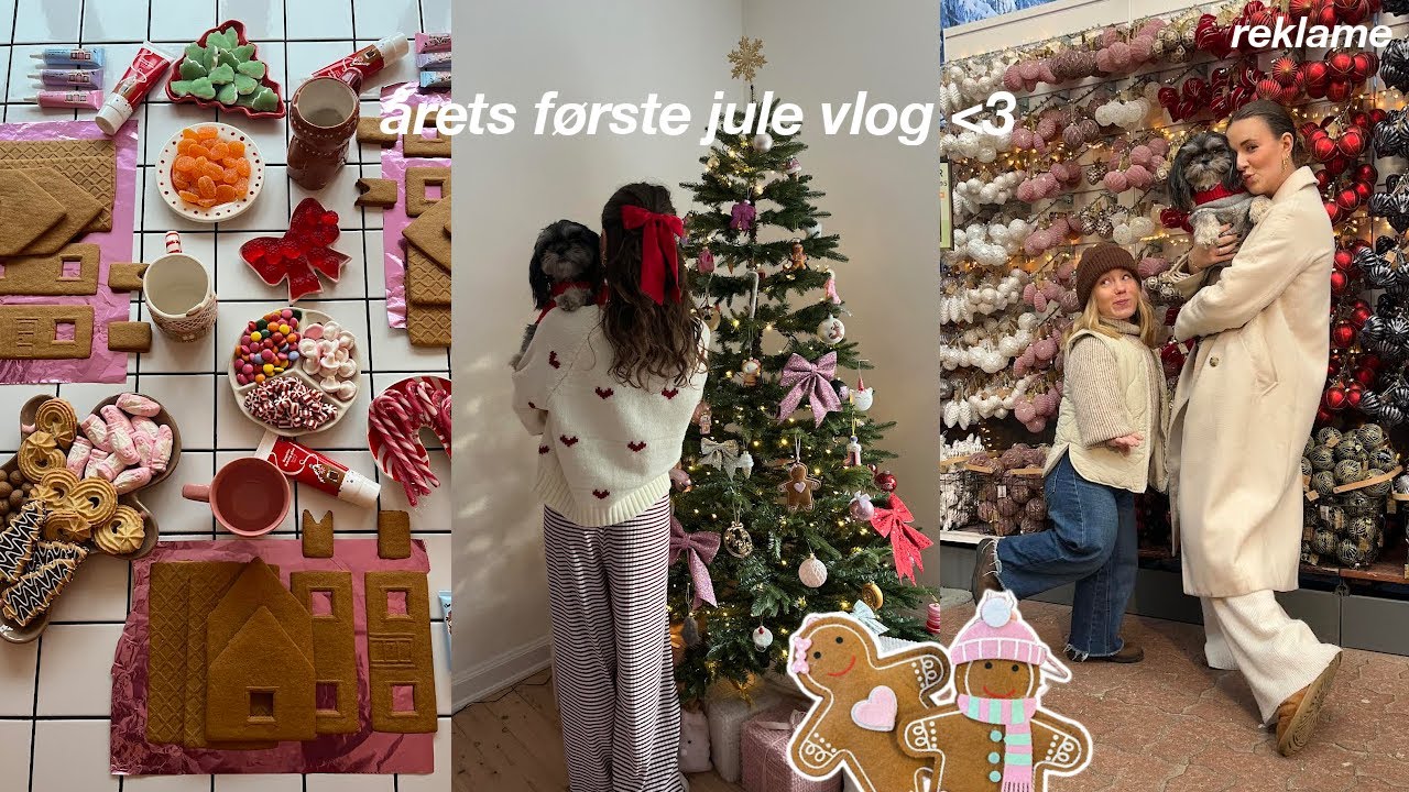 LAVER BRUNKAGEHUS MED ROSA & HELENE, TAGER P&Aring; JULE SHOPPING OG OVERRASKER MIN MOR MED JULEKALENDER!