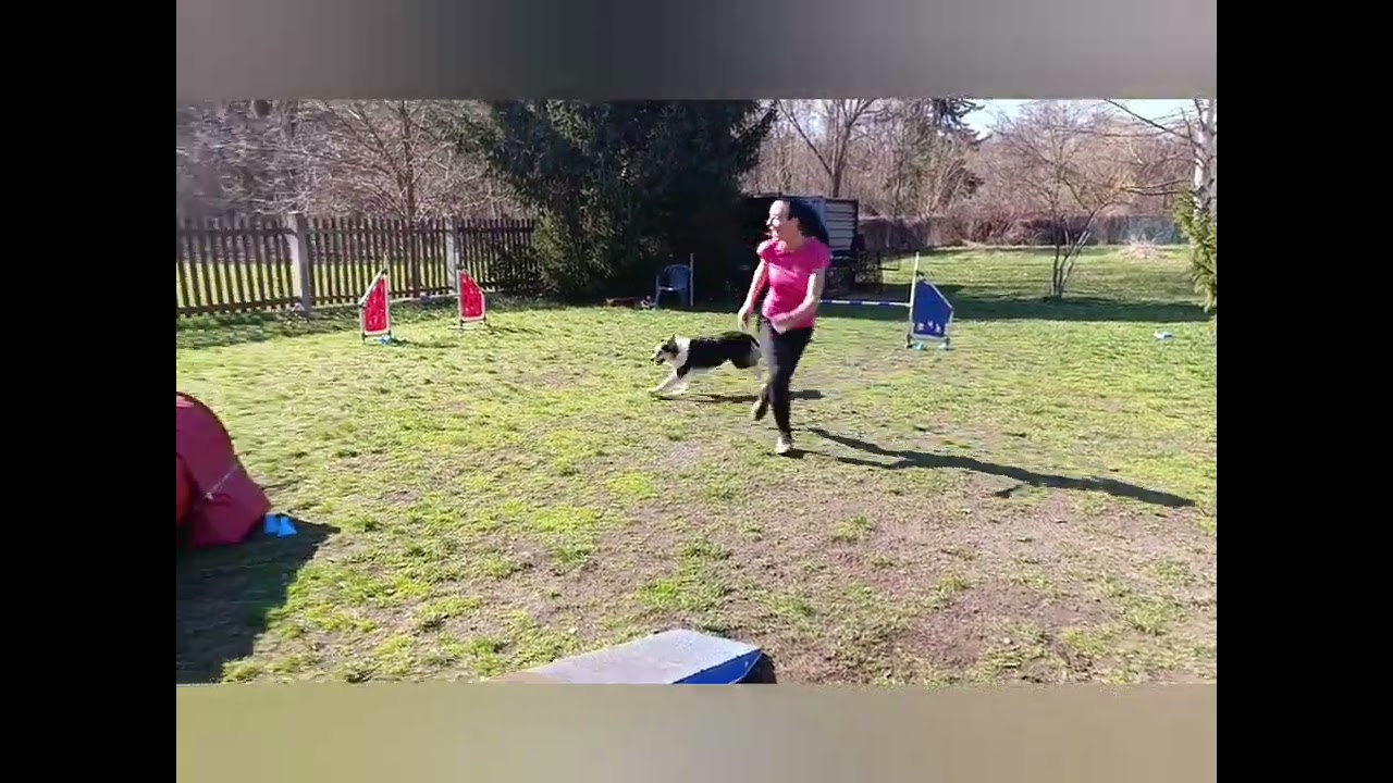 Trénink na parkuru z Kvalifikačních závodů, Puki a Cassie