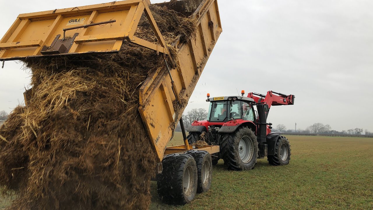 Mucking Out