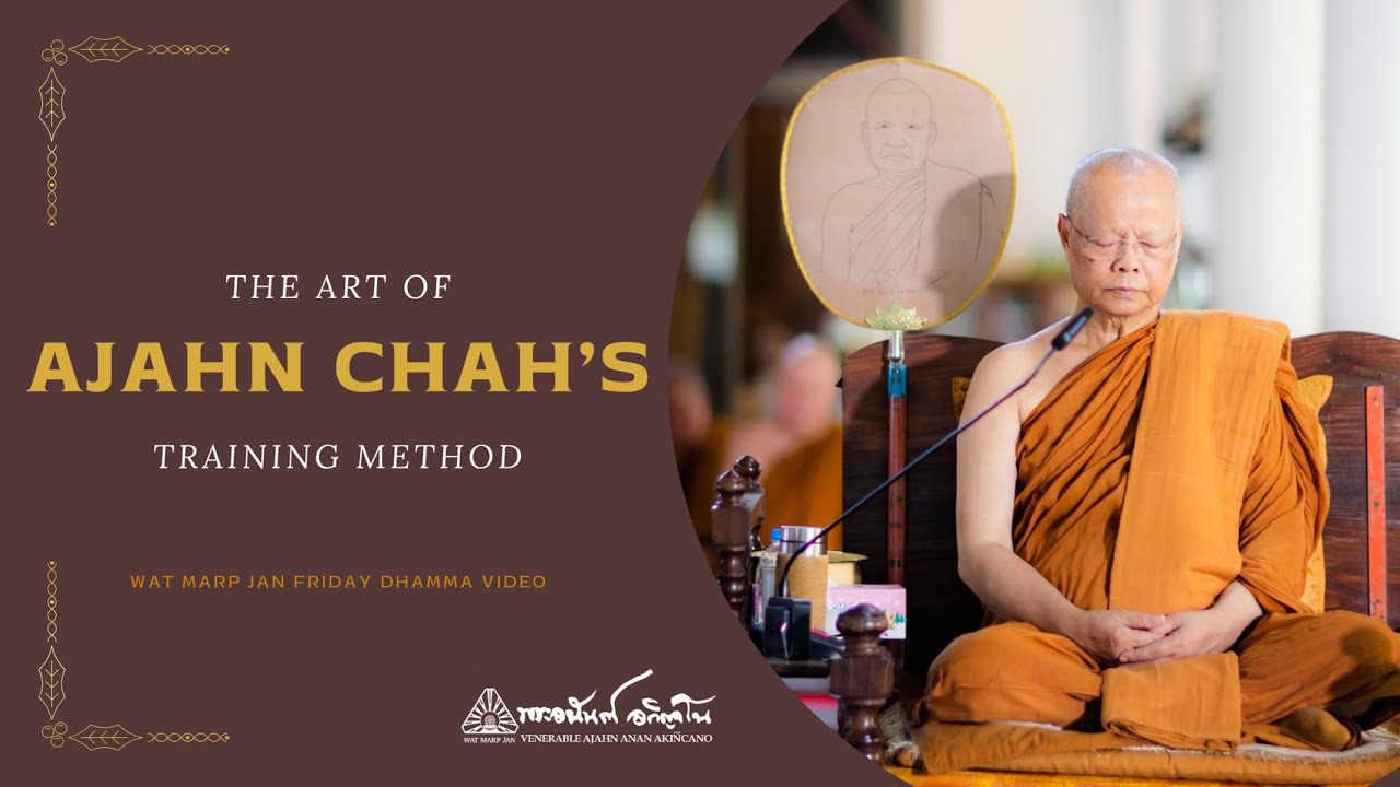 The Art of Ajahn Chah's Training Method | Friday Dhamma | 30 Jan 2026