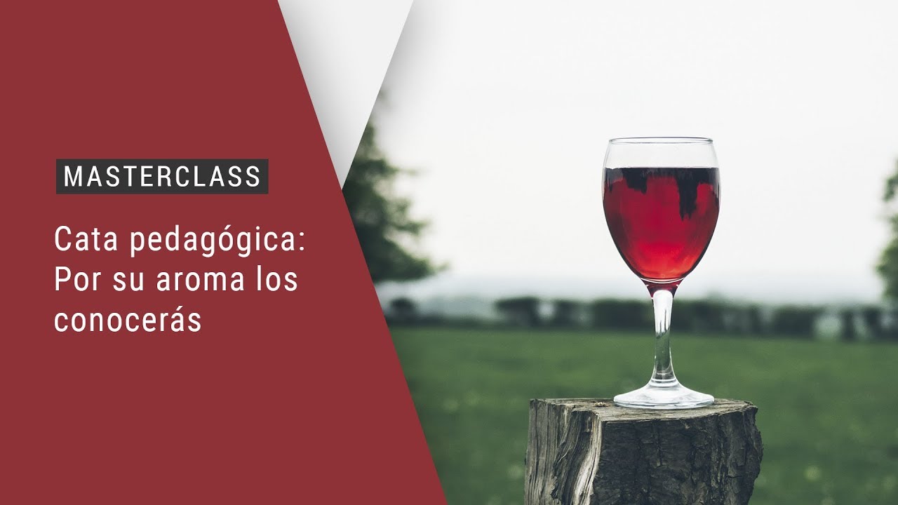 Masterclass: C&oacute;mo conocer el vino por su aroma