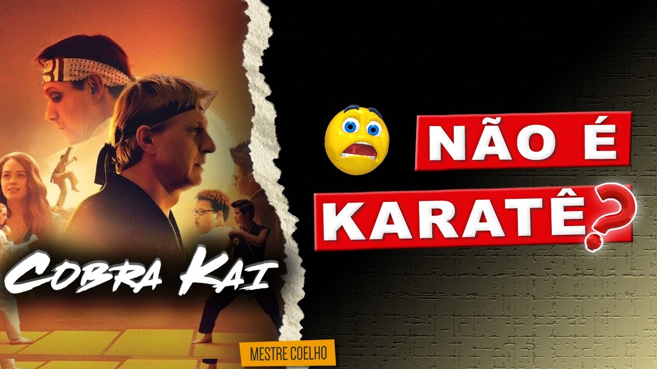 TangSooDo e Taekwondo em KARATE KID e na série COBRA KAI? 🤔
