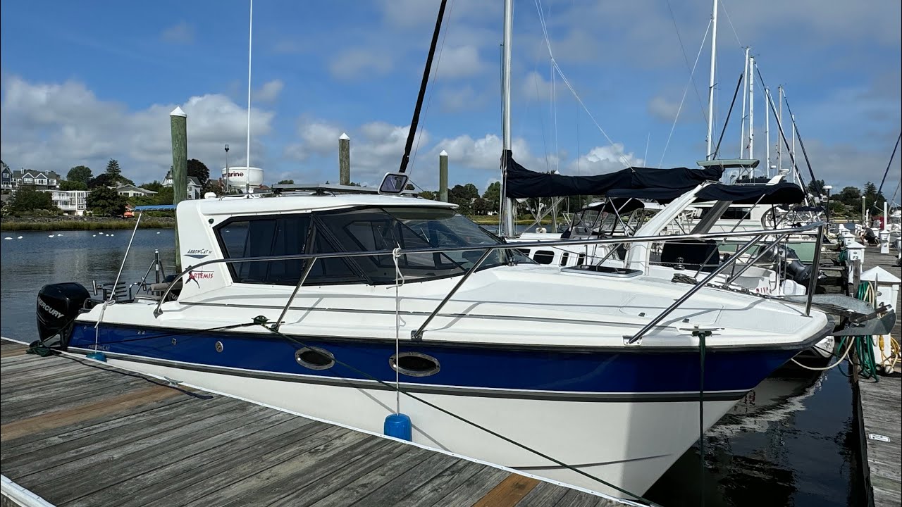 2014 ArrowCat 320 Express