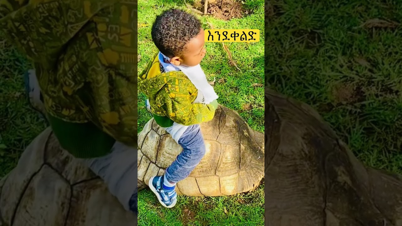 ኤልዬ #sifuonebs #comedianeshetuofficial #dink #eregnaye #sifu #familyvlog