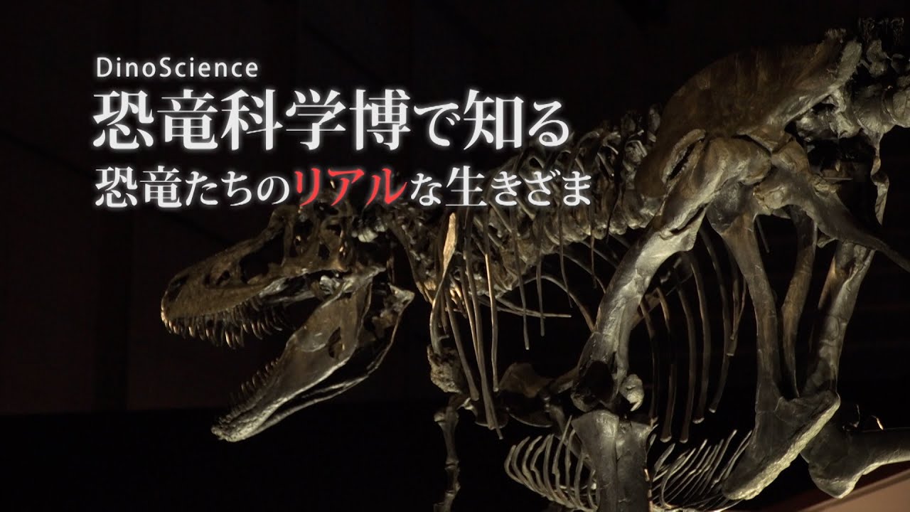 【恐竜くん】DinoScience恐竜科学博で知る 恐竜たちのリアルな生きざま | ガリレオX（2021年） 第248回