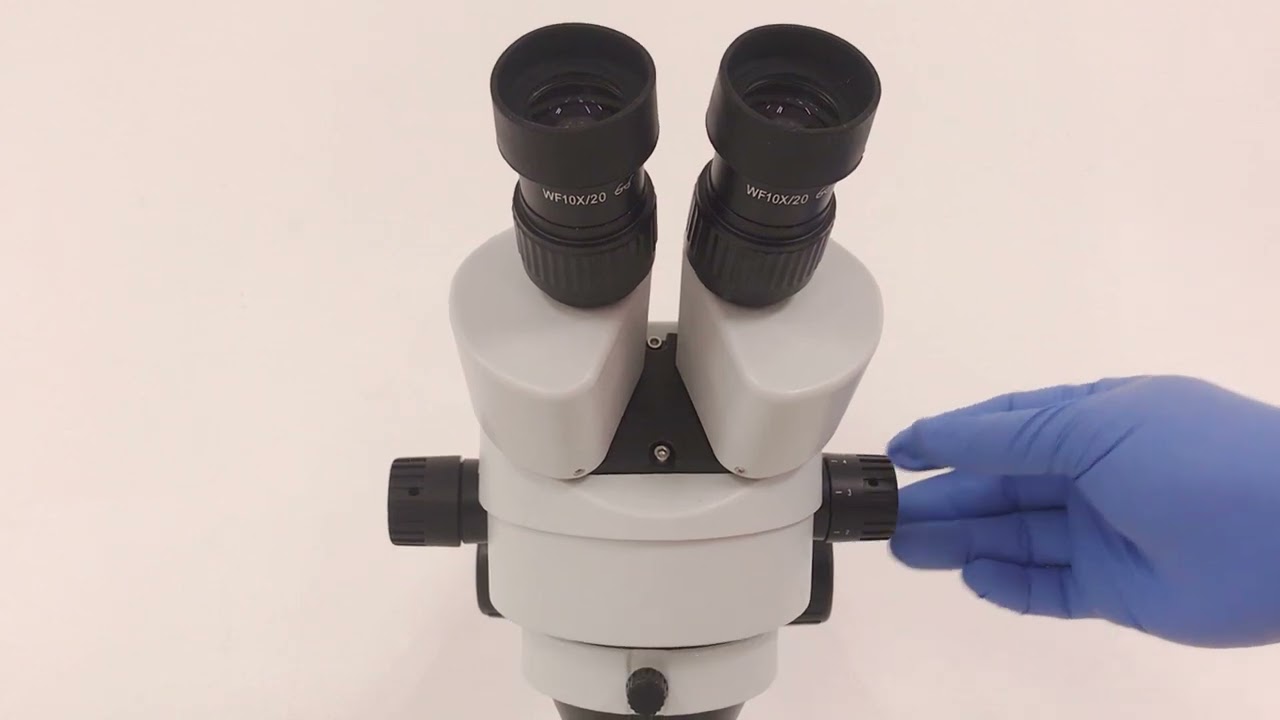 RaxVision RZM 0745 Zoom Stereo Microscope Thai Language