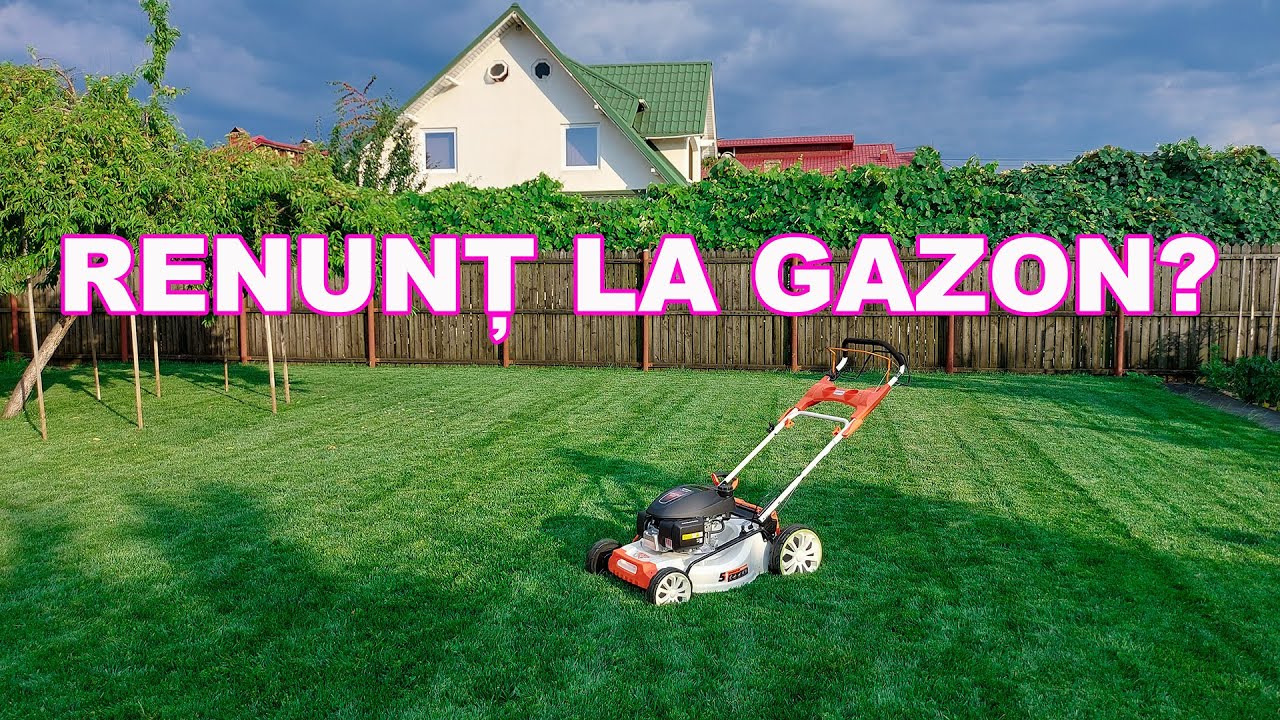 RENUNȚ LA GAZON DIN CAUZA SECETEI ȘI A CANICULEI? NU, ÎL VOI AJUTA CÂT VOI PUTEA CA SĂ REZISTE!