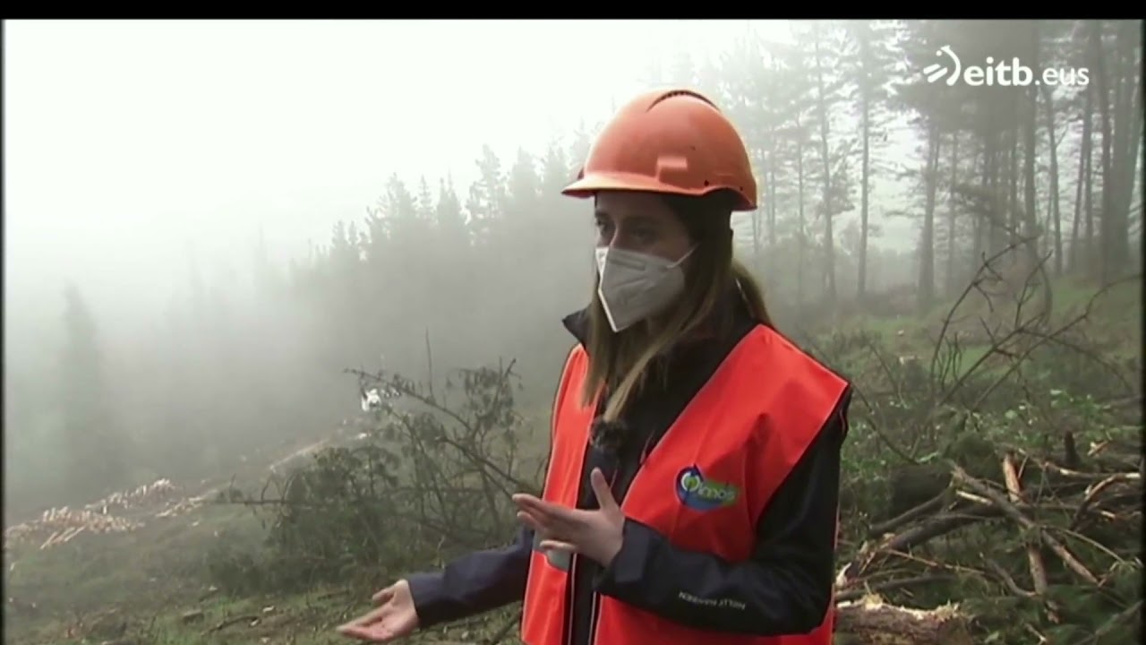 SUSTRAIA / ETB / OLMOS FORESTAL
