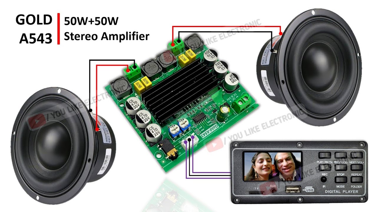 Gold-A543C 50W+50W Real Stereo Amplifier Wiring | 100W Class D Amplifier | You Like Electronic