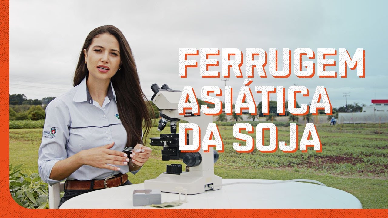 Ferrugem da soja: monitoramento e manejo