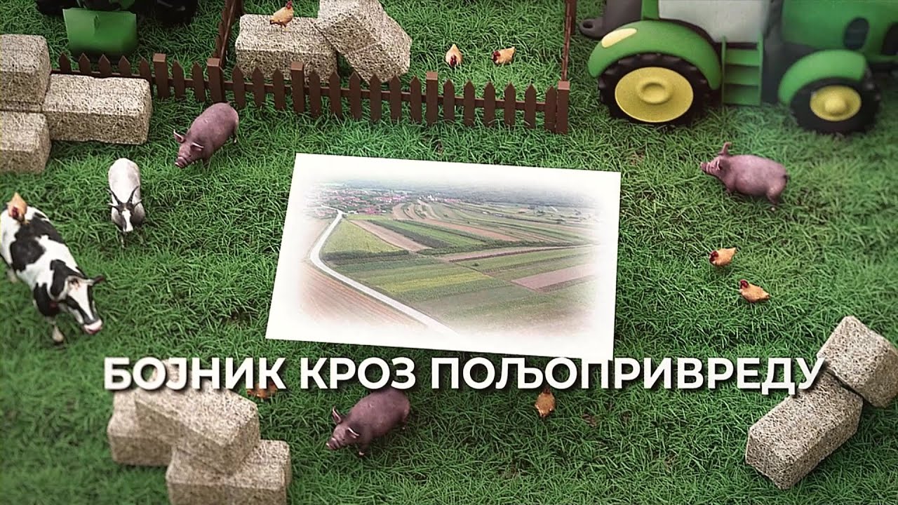 Poljoprivreda u Bojniku - Stočarstvo
