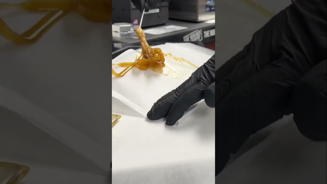 Collecting Rosin