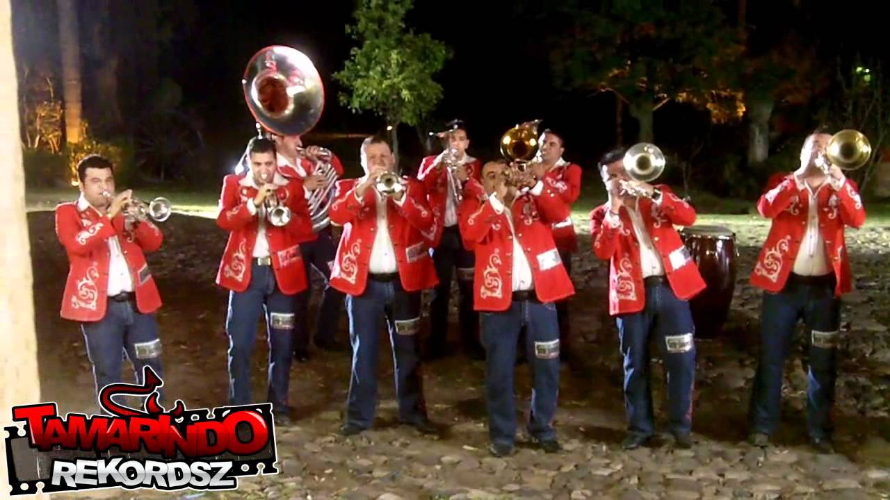 BANDA TIERRA SINALOENSE DE CHUY LIZARRAGA - MUSICA DE VIENTO